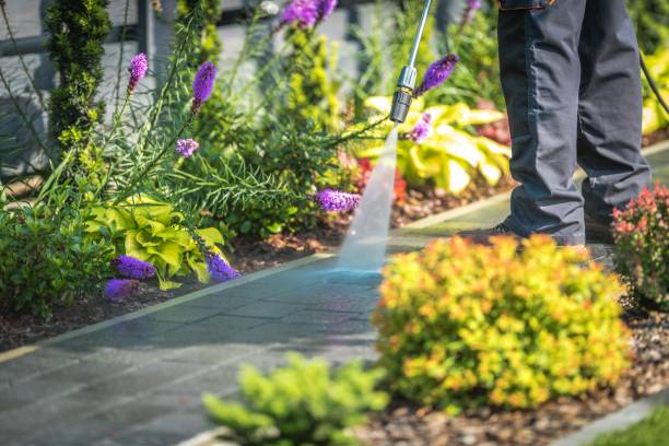 Best Sidewalk and Walkway Cleaning  in Chocowinity, NC