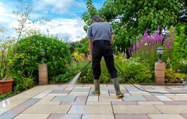 Trusted Chocowinity, NC Pressure Washing Experts