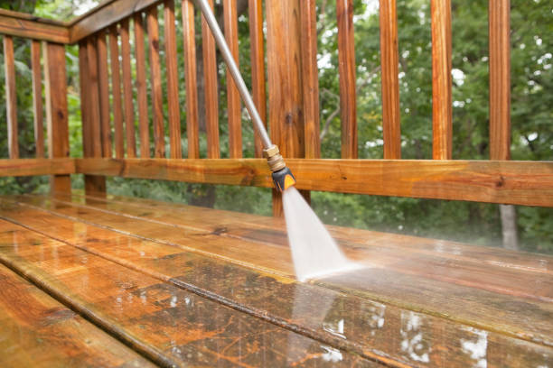 Best Driveway Pressure Washing  in Chocowinity, NC
